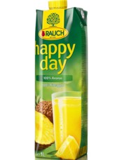 Happy Day ananas 100% 1 l