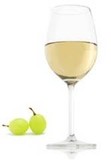 Chardonnay neskorý zber víno polosuché biele
