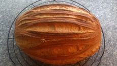 Klasický chléb typu Šumava bez lepku